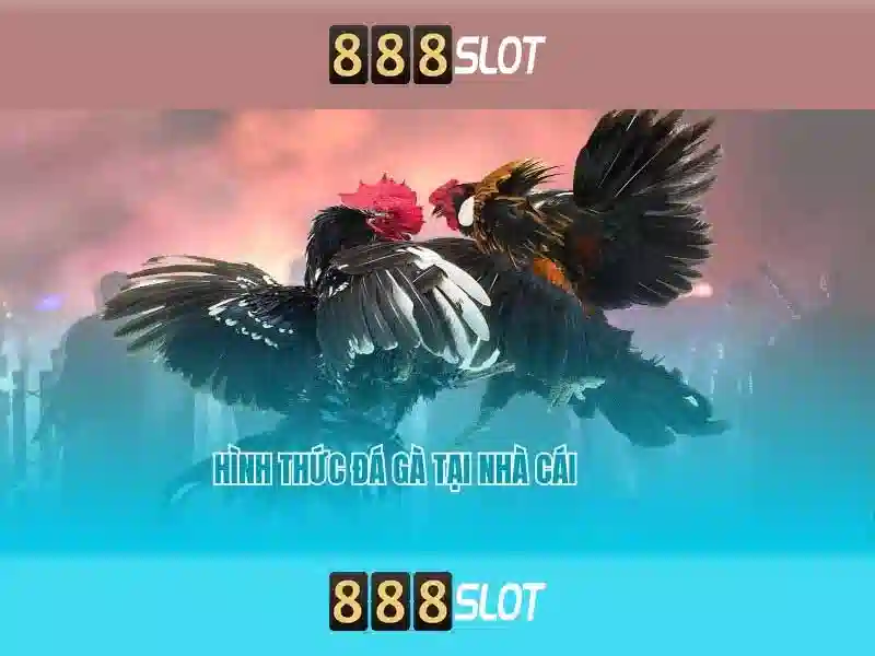 💎kèo nhà cái việt nam uae trực tiếp💎