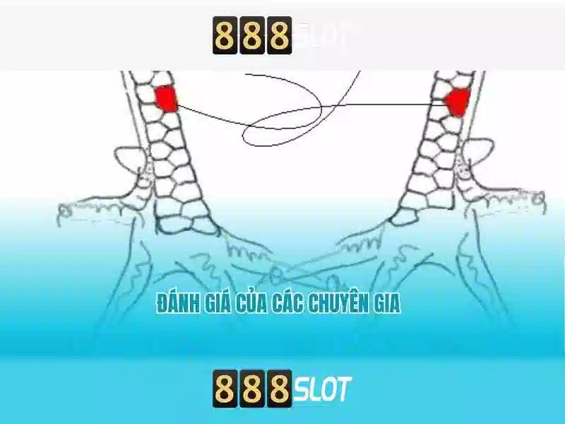 quyền riêng tư - 888slot