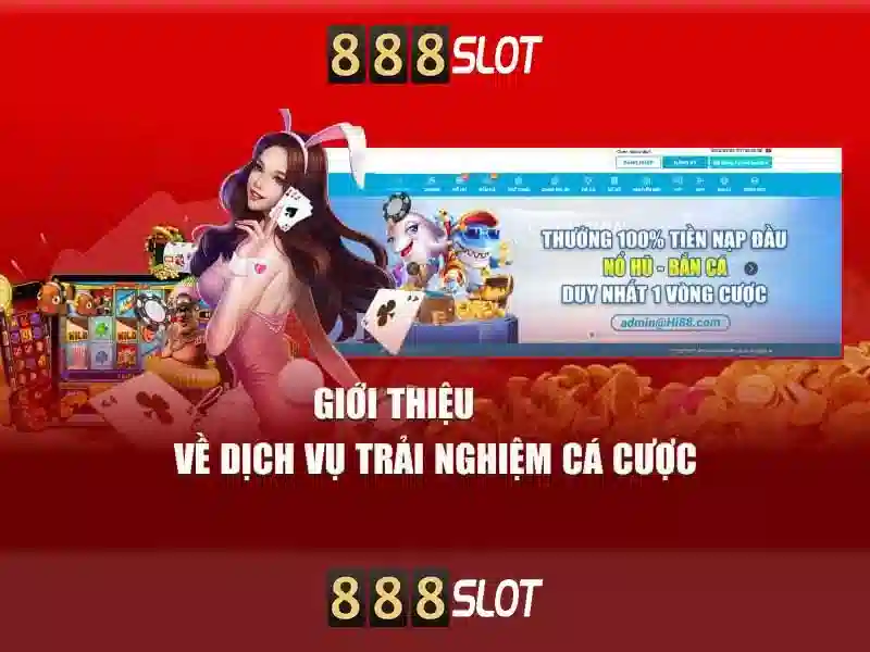 💎nhà cái s6💎