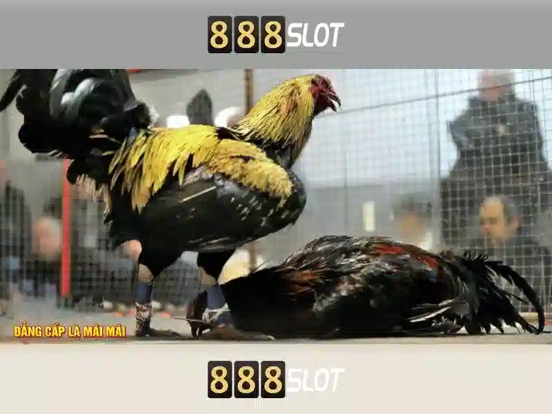 💎slot bush telegraph💎