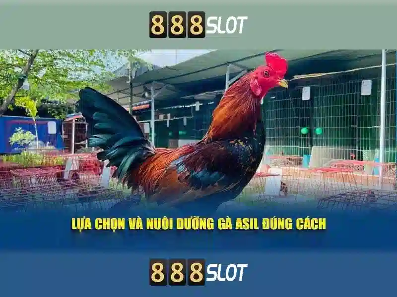 đăng nhập 888 slot - 888slot