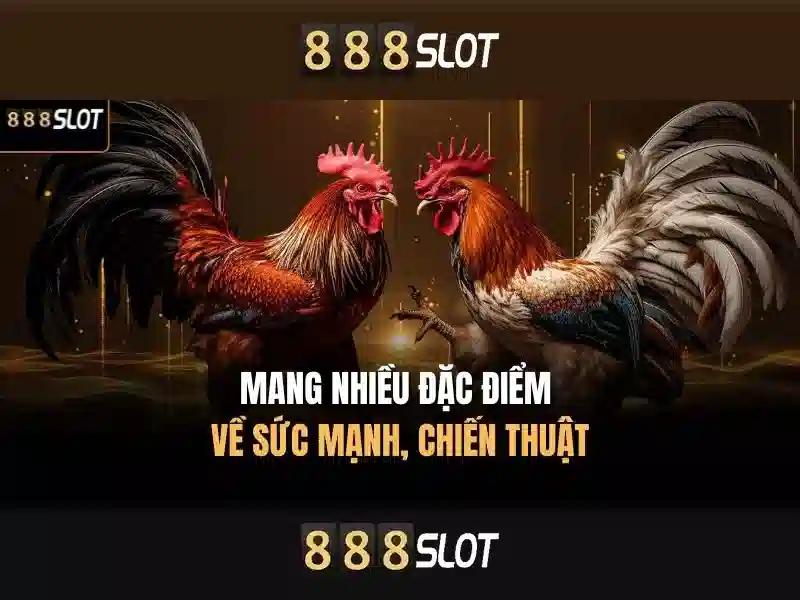 💎best rtp slots 2024💎