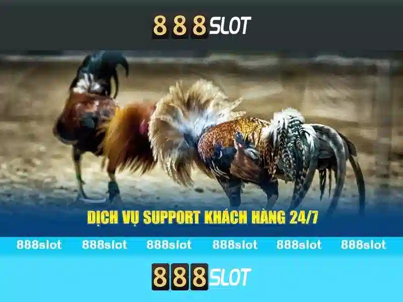 💎xn88 telegram💎