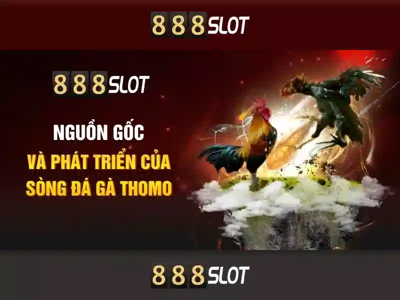 💎888slot slot cambuur💎
