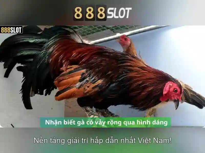 💎888 slot slot game png💎