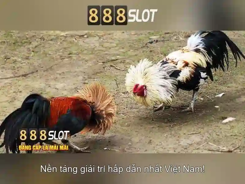 💎super ace 888 slot slot💎