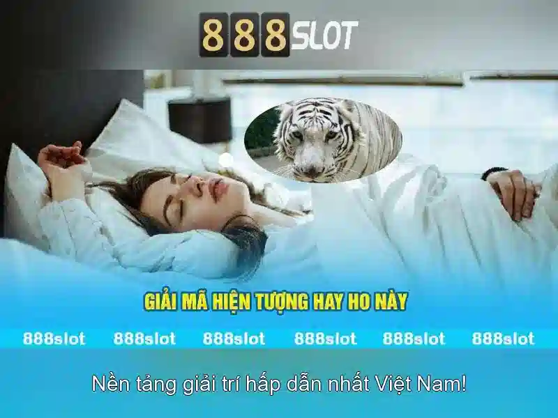💎mybet slots💎