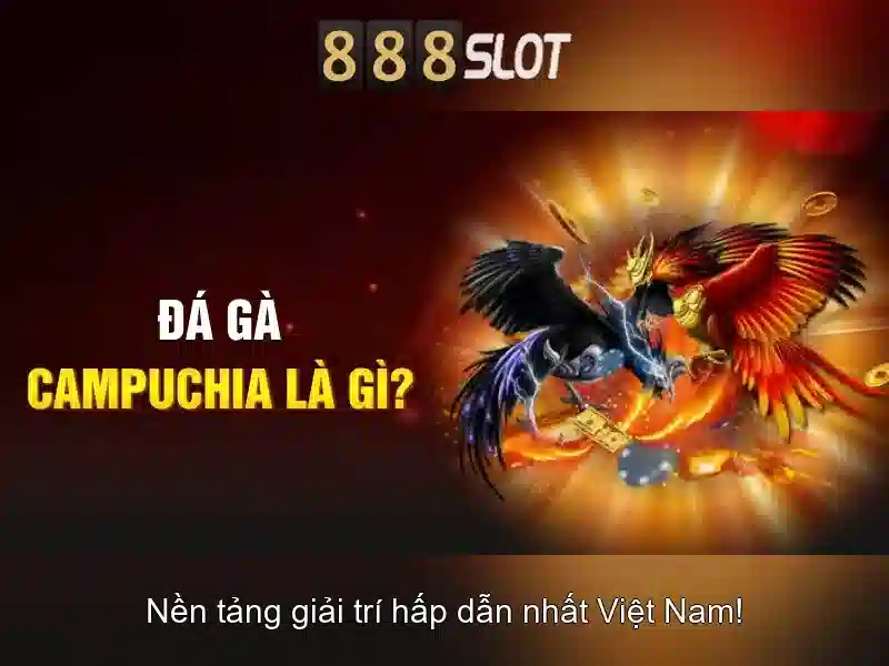 💎nhà nghỉ thành phố móng cái💎