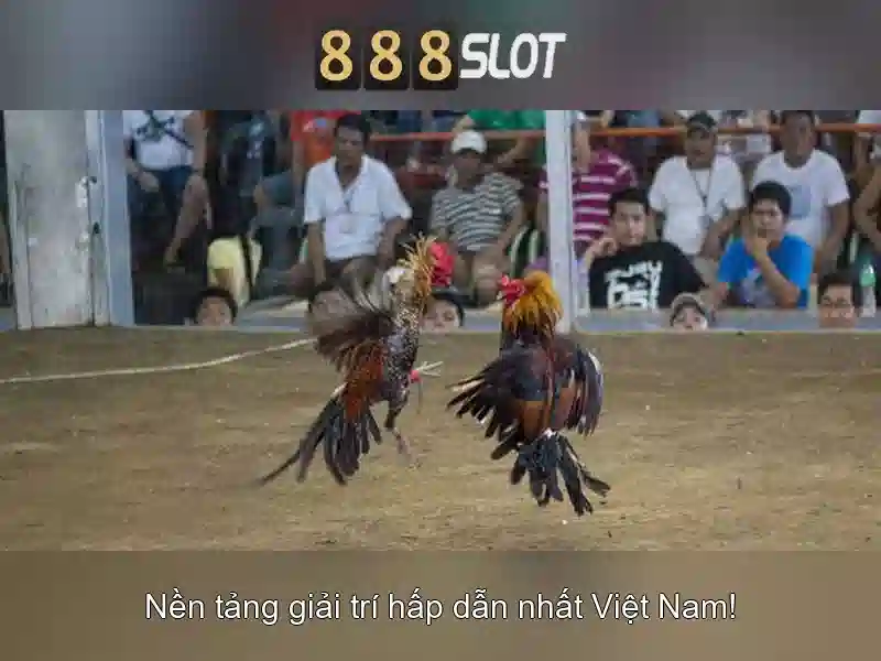 💎cá cược đua xe đạp eubet💎